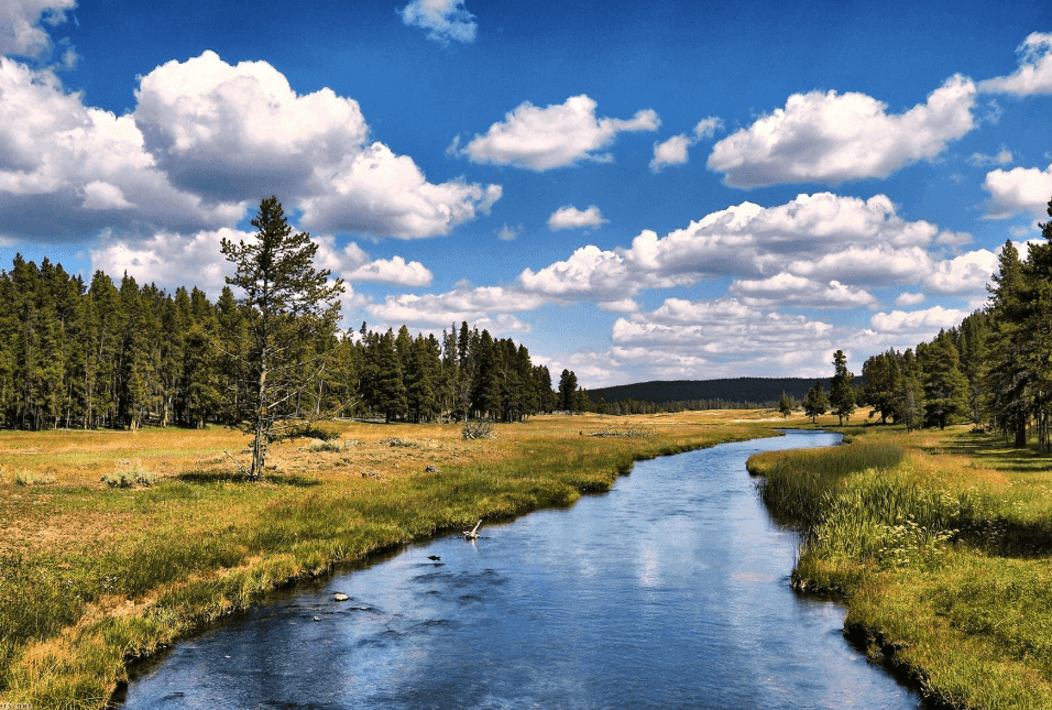 Rivière de l'Ource